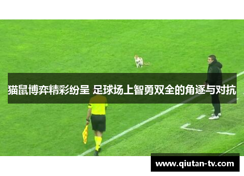 猫鼠博弈精彩纷呈 足球场上智勇双全的角逐与对抗